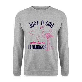 Juste une fille qui aime les flamants roses cadeau - Sweat-shirt Unisexe - gris chiné - Devant - Alina (178cm) & Michal (187cm)