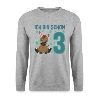 Dreijähriges Festeselchen Glückwunschmotiv - Unisex Pullover - Weißgrau meliert - Vorne - Alina (178cm) & Michal (187cm)