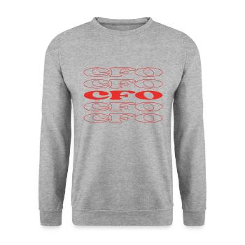 CFO Chief Financial Officer Finanzdirektor - Unisex Pullover - Weißgrau meliert - Vorne - Alina (178cm) & Michal (187cm)