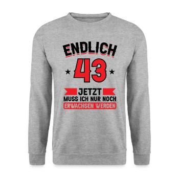 43. Geburtstag Jetzt nur noch erwachsen werden - Unisex Pullover - Weißgrau meliert - Vorne - Alina (178cm) & Michal (187cm)