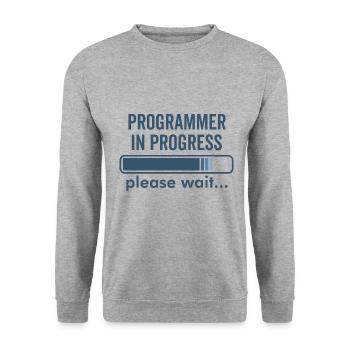 Programmeurs en gestation - Sweat-shirt Unisexe - gris chiné - Devant - Alina (178cm) & Michal (187cm)