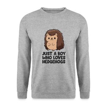 Just a Boy Who Loves Hedgehogs Kids Hedgehog Boy - Sweat-shirt Unisexe - gris chiné - Devant - Alina (178cm) & Michal (187cm)