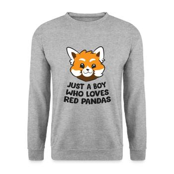Nur ein Junge, der rote Pandas liebt - Unisex Pullover - Weißgrau meliert - Vorne - Alina (178cm) & Michal (187cm)