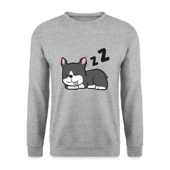 Lustiger Boston Terrier Schlafender Boston Terrier - Unisex Pullover - Weißgrau meliert - Vorne - Alina (178cm) & Michal (187cm)