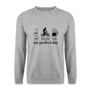 Mountainbiker Perfect day cycliste électrique - Sweat-shirt Unisexe - gris chiné - Devant - Alina (178cm) & Michal (187cm)