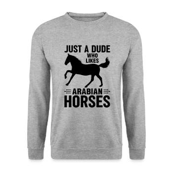 Juste un mec qui aime le club culturel Arabian Horses - Sweat-shirt Unisexe - gris chiné - Devant - Alina (178cm) & Michal (187cm)