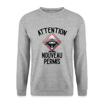 Permis De Conduire Idée Cadeau Humour Auto-École - Sweat-shirt Unisexe - gris chiné - Devant - Alina (178cm) & Michal (187cm)