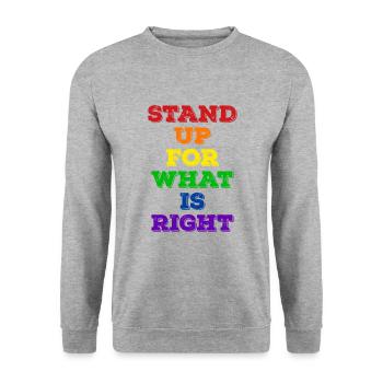 Déclaration LGBT de la fierté - Sweat-shirt Unisexe - gris chiné - Devant - Alina (178cm) & Michal (187cm)