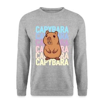 Niedliches Capybara Nagetier für Capybara Liebhaber - Unisex Pullover - Weißgrau meliert - Vorne - Alina (178cm) & Michal (187cm)