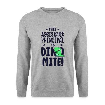 This Assistant Principal Is Dynamite Teacher - Unisex Sweatshirt - salt & pepper - Front - Alina (178cm) & Michal (187cm)