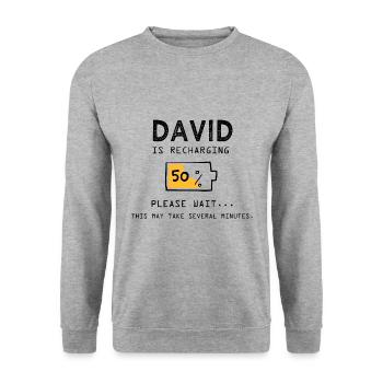 David prénom drôle sarcastique Cadeaux david - Sweat-shirt Unisexe - gris chiné - Devant - Alina (178cm) & Michal (187cm)