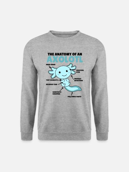 Axolotl Erklärung Anatomy of an Axolotl - Unisex Pullover - Weißgrau meliert