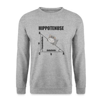 Nerd Geometry Hippotenuse Hypotenuse Math - Unisex Sweatshirt - salt & pepper - Front - Alina (178cm) & Michal (187cm)