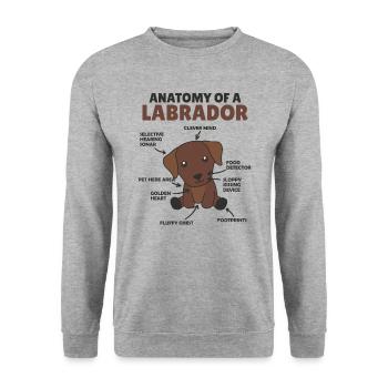 Anatomie d’un labrador Retriever chiens mignons - Sweat-shirt Unisexe - gris chiné - Devant - Alina (178cm) & Michal (187cm)