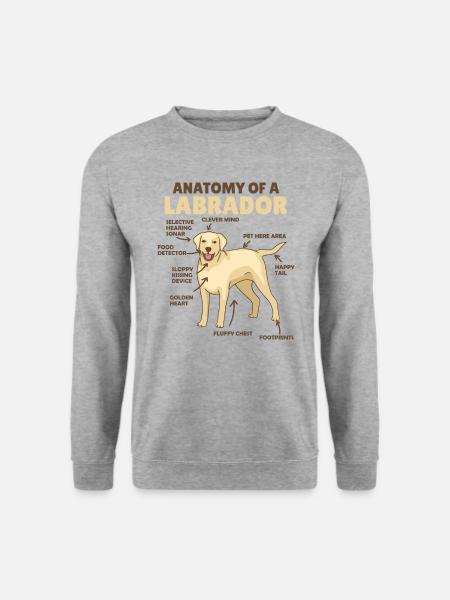 Anatomie eines Labradors Retriever süße Hunde - Unisex Pullover - Weißgrau meliert