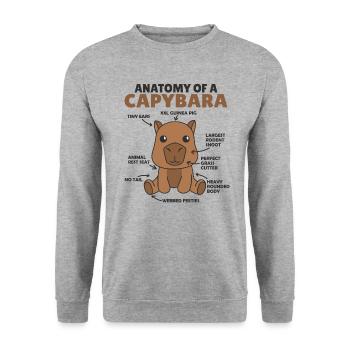 süßes Capybara Erklärung Anatomy of a Capybara - Unisex Pullover - Weißgrau meliert - Vorne - Alina (178cm) & Michal (187cm)