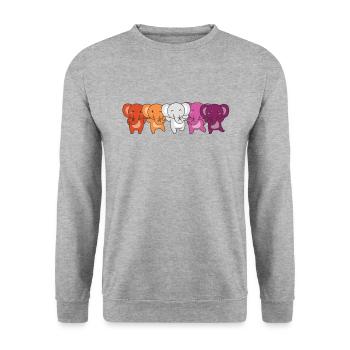 Lesbian Flag Pride LGBTQ Cute Elephant - Unisex Sweatshirt - salt & pepper - Front - Alina (178cm) & Michal (187cm)