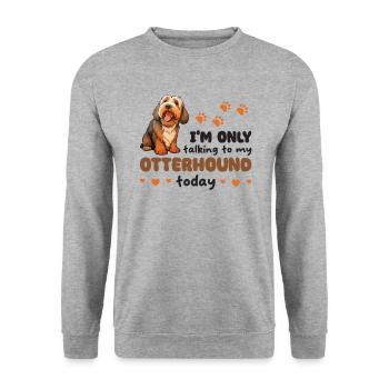ich spreche heute nur mit meinem Otterhound - Unisex Pullover - Weißgrau meliert - Vorne - Alina (178cm) & Michal (187cm)