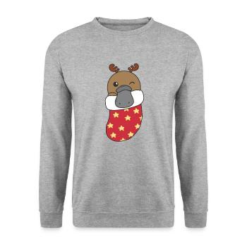 Cute platypus in Christmas sock too - Unisex Sweatshirt - salt & pepper - Front - Alina (178cm) & Michal (187cm)