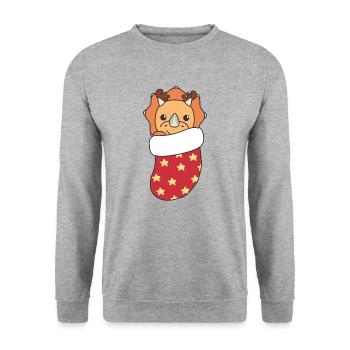 Dinosaures mignons en chaussettes de Noël pour Noël - Sweat-shirt Unisexe - gris chiné - Devant - Alina (178cm) & Michal (187cm)