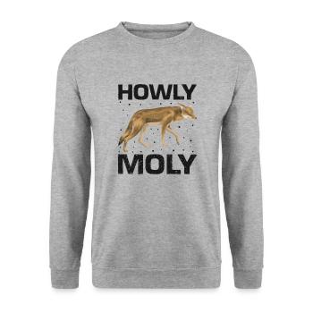 Conception de coyote pour les réacteurs de coyote - Sweat-shirt Unisexe - gris chiné - Devant - Alina (178cm) & Michal (187cm)