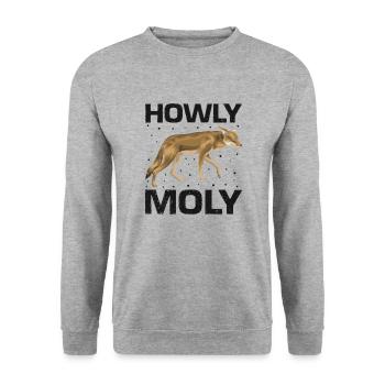 Conception de coyote pour les réacteurs de coyote - Sweat-shirt Unisexe - gris chiné - Devant - Alina (178cm) & Michal (187cm)