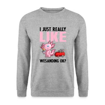 Car painter offer for coachbuilders - Unisex Sweatshirt - salt & pepper - Front - Alina (178cm) & Michal (187cm)