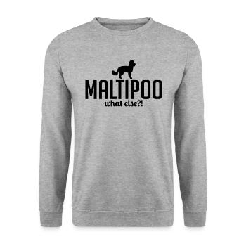 Maltipoo what else Hundespruch Hunde - Unisex Pullover - Weißgrau meliert - Vorne - Alina (178cm) & Michal (187cm)