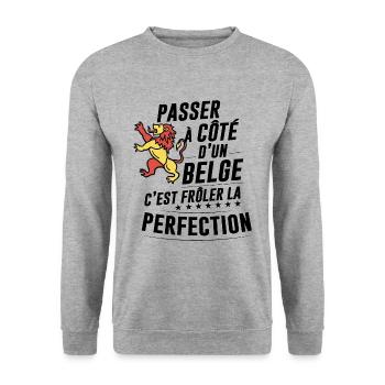 Belge Parfait Cadeau Humour - Sweat-shirt Unisexe - gris chiné - Devant - Alina (178cm) & Michal (187cm)