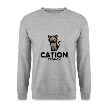Cation Kation Cat Katze Chemie Chemistry - Unisex Pullover - Weißgrau meliert - Vorne - Alina (178cm) & Michal (187cm)