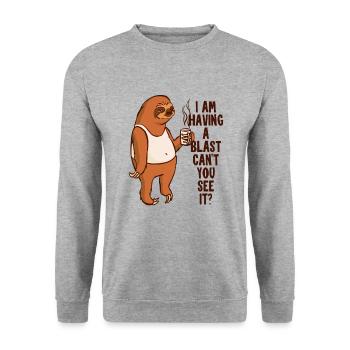 Einen Knall haben, kannst du es nicht sehen Pilosa Folivora - Unisex Pullover - Weißgrau meliert - Vorne - Alina (178cm) & Michal (187cm)