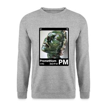 AI am Promethium (bk) - Unisex Sweatshirt - salt & pepper - Front - Alina (178cm) & Michal (187cm)
