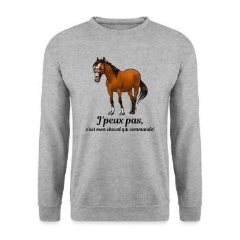 Mon cheval commande - Sweat-shirt Unisexe - gris chiné - Devant - Alina (178cm) & Michal (187cm)