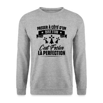 Passer à côté d'un breton frôler la perfection - Sweat-shirt Unisexe - gris chiné - Devant - Alina (178cm) & Michal (187cm)