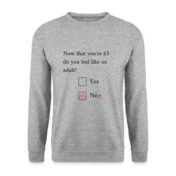 Funny 65th Birthday Birthday Celebrant Happy Bday - Unisex Pullover - Weißgrau meliert - Vorne - Alina (178cm) & Michal (187cm)