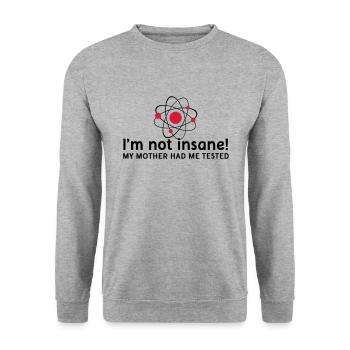 I'm not insane verrückt Atomphysik Wissenschaftler - Unisex Pullover - Weißgrau meliert - Vorne - Alina (178cm) & Michal (187cm)