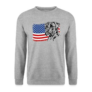 BOXER America Flag Dogs Dog Wilsigns - Unisex Sweatshirt - salt & pepper - Front - Alina (178cm) & Michal (187cm)