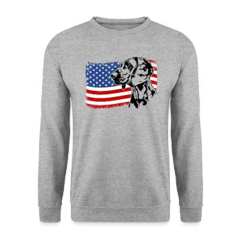 Hanoverian Scent Hound America Flag Dogs - Unisex Sweatshirt - salt & pepper - Front - Alina (178cm) & Michal (187cm)