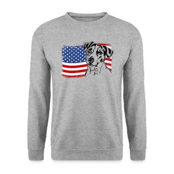 Jack Russell Terrier America Flag Dogs Wilsigns - Unisex Sweatshirt - salt & pepper - Front - Alina (178cm) & Michal (187cm)