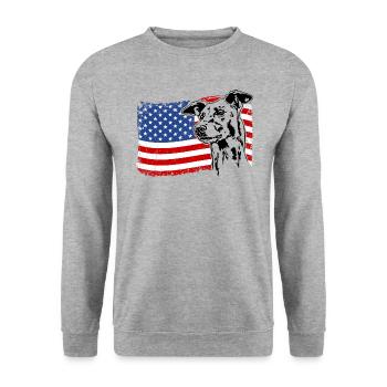 Greyhound America Flag Greyhound Dogs Wilsigns - Sweat-shirt Unisexe - gris chiné - Devant - Alina (178cm) & Michal (187cm)