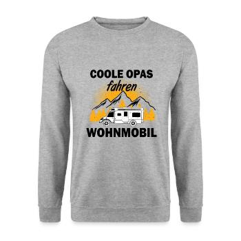 Camper und Rentner - Unisex Pullover - Weißgrau meliert - Vorne - Alina (178cm) & Michal (187cm)