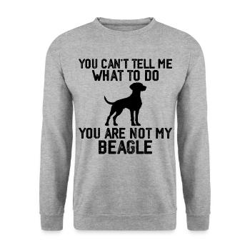 Funny Beagle Men Women Hound Beagle Dog Lovers - Sweat-shirt Unisexe - gris chiné - Devant - Alina (178cm) & Michal (187cm)