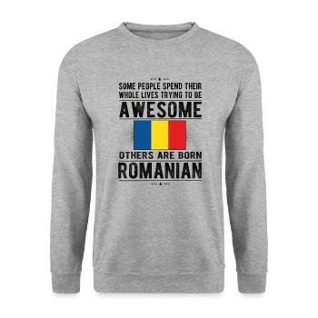 Fier drapeau roumain roumain d'origine roumaine - Sweat-shirt Unisexe - gris chiné - Devant - Alina (178cm) & Michal (187cm)
