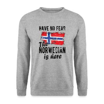 Norvège norvégienne Origine Drapeau norvégien - Sweat-shirt Unisexe - gris chiné - Devant - Alina (178cm) & Michal (187cm)