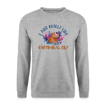 I just like capybaras a lot, ok capibara lovers - Unisex Sweatshirt - salt & pepper - Front - Alina (178cm) & Michal (187cm)