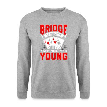 Bridge-spieler Bridge-kartenspiel-experte - Unisex Pullover - Weißgrau meliert - Vorne - Alina (178cm) & Michal (187cm)