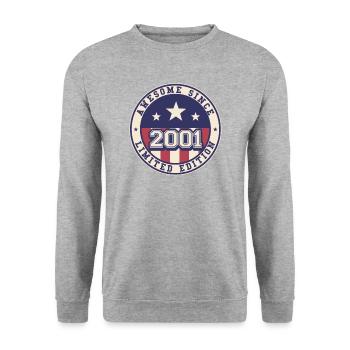 Awesome Since 2001 21. Geburtstag - Unisex Pullover - Weißgrau meliert - Vorne - Alina (178cm) & Michal (187cm)