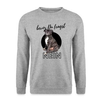 bevor Du fragst NEIN-black - Unisex Pullover - Weißgrau meliert - Vorne - Alina (178cm) & Michal (187cm)
