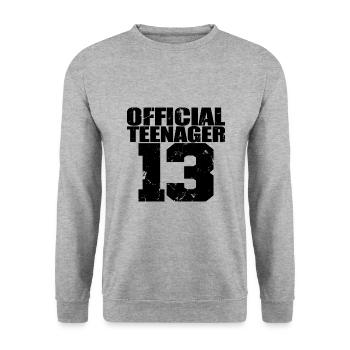 Adolescent officiel 13, cadeau cool 13e anniversaire - Sweat-shirt Unisexe - gris chiné - Devant - Alina (178cm) & Michal (187cm)
