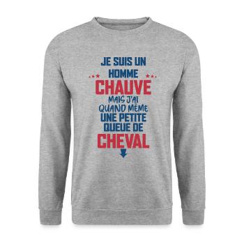 Chauve le meilleur des chauves humour - Sweat-shirt Unisexe - gris chiné - Devant - Alina (178cm) & Michal (187cm)